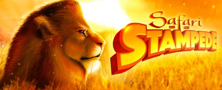 SAFARI STAMPEDE