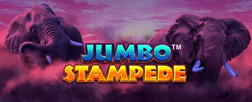 Travel to the African safari with our 6-reel slot, Jumbo Stampede and hunt down the special Jumbo symbols that award non-adjacent pays during Free Spins.