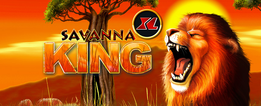 
Bigger and better payouts with Savanna King XL. This Joe Fortune pokie gives you 1,024 ways to win!

